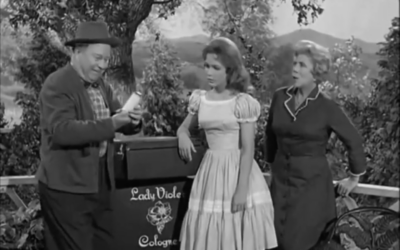 Petticoat Junction: Season 1 Episode 6, Please Buy My Violets Featured Image